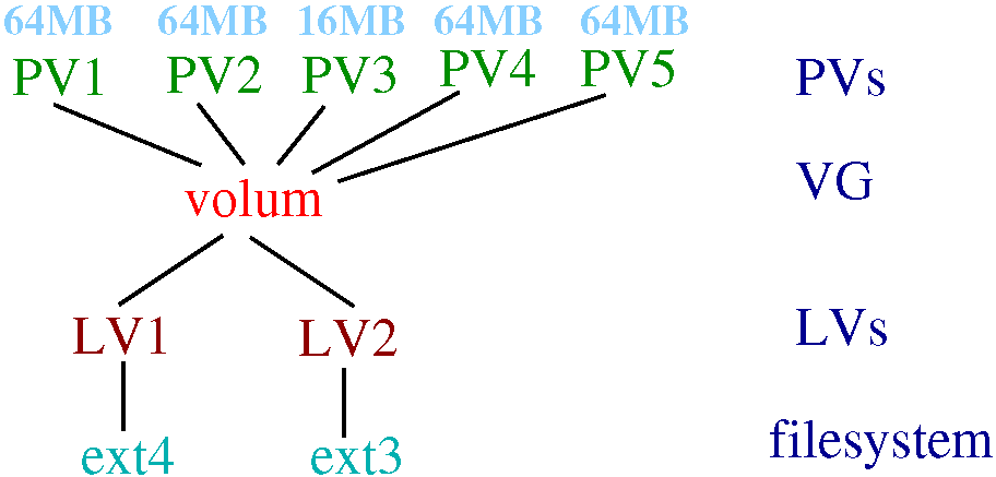 LVM Anatomy